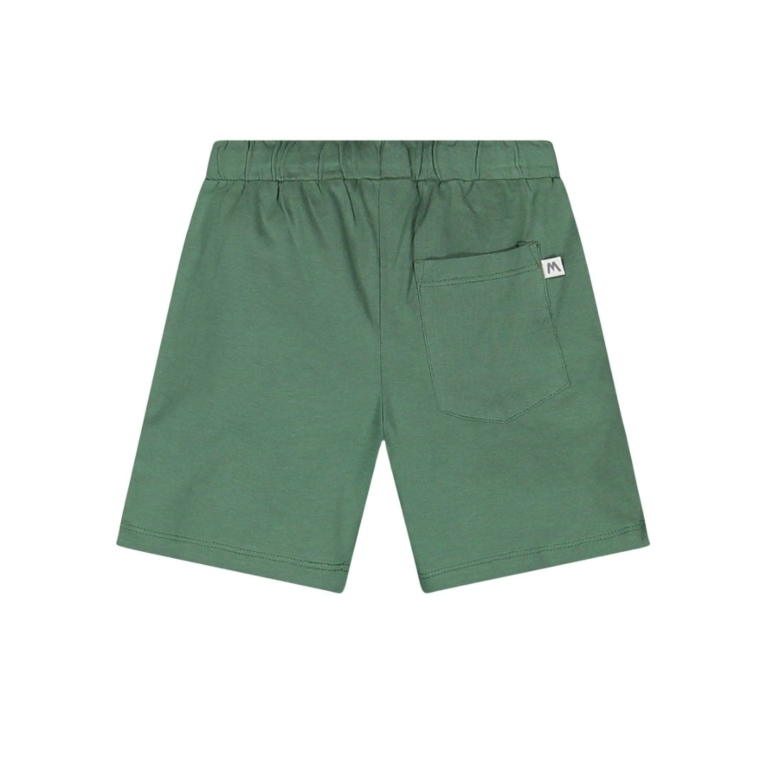 Bermuda in jersey con stampa dinosauri per neonato